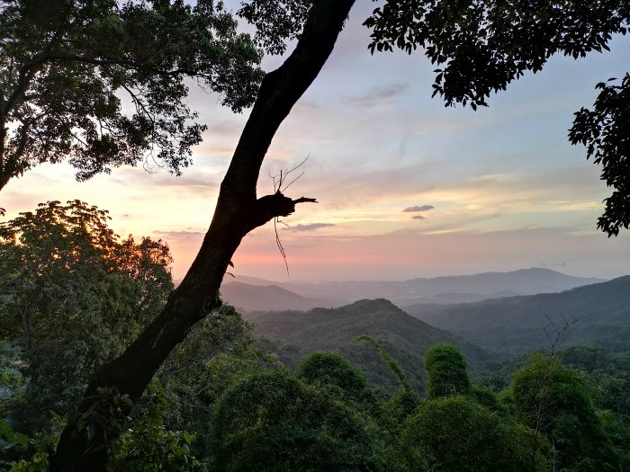 Coucher de soleil Minca Colombia