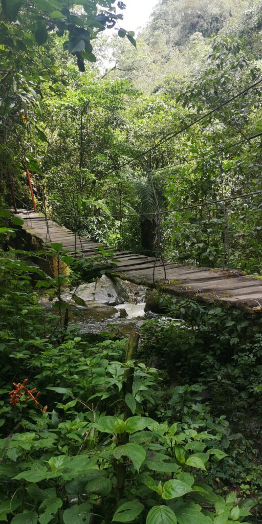 Pont suspendu Vallée de Cocora Colombie