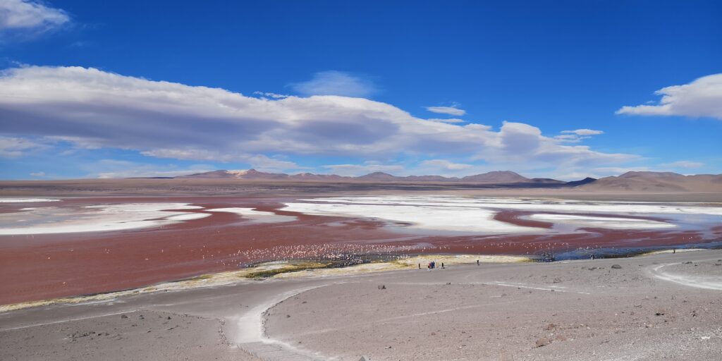 Laguna colorada Bolivie