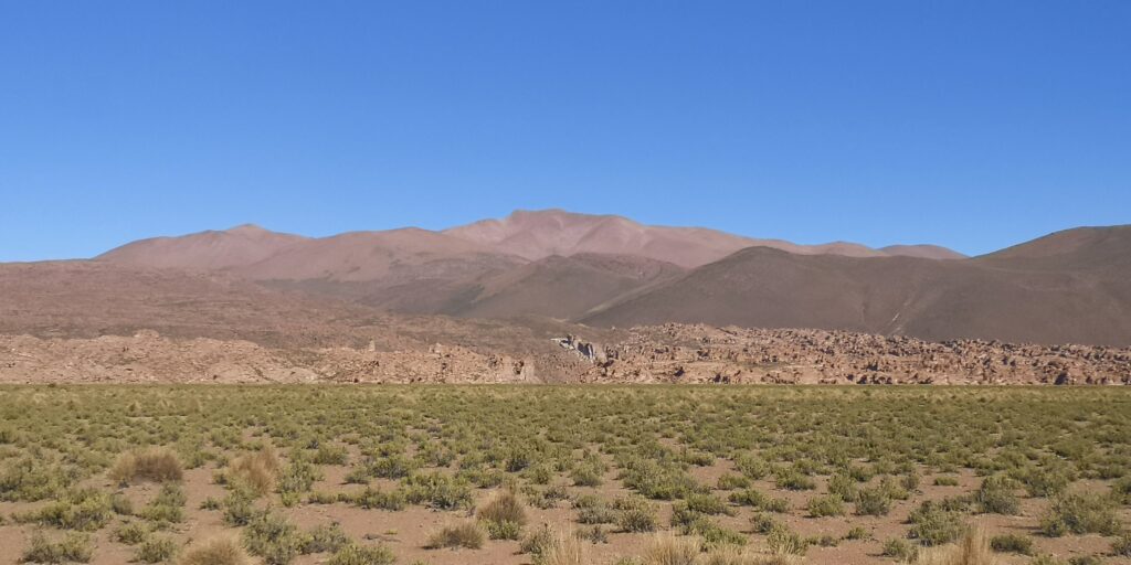 sud lipez Bolivie