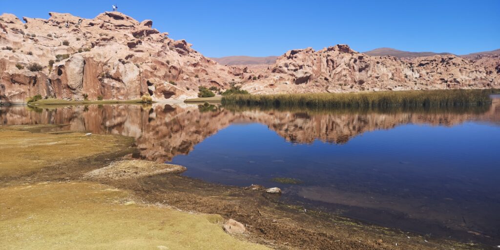Laguna Catal Bolivie