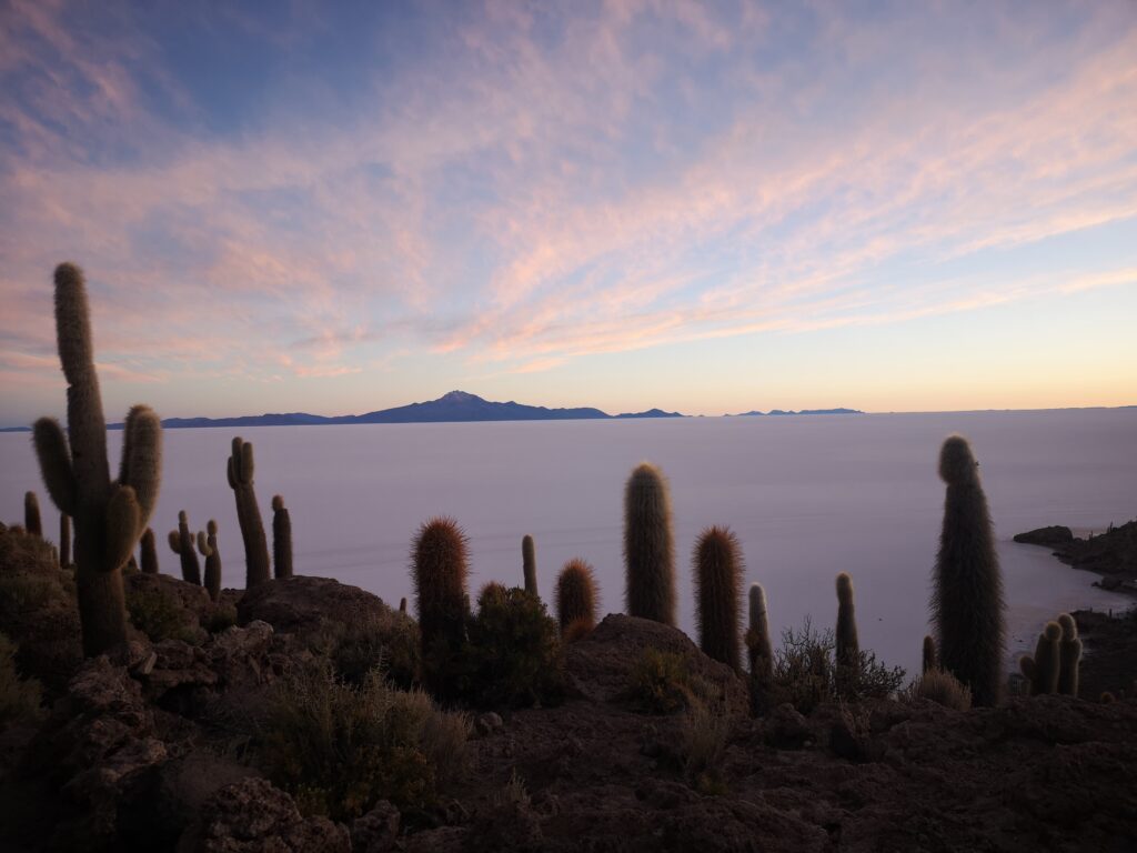 Isla Incahuasi Uyuni Bolivie