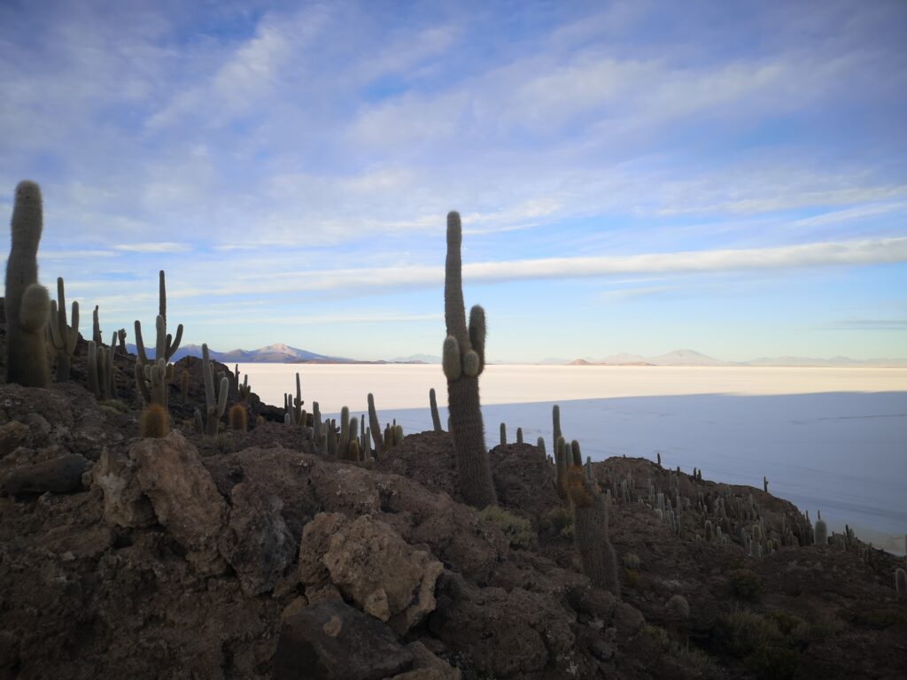 Isla Incahuasi Uyuni Bolivie