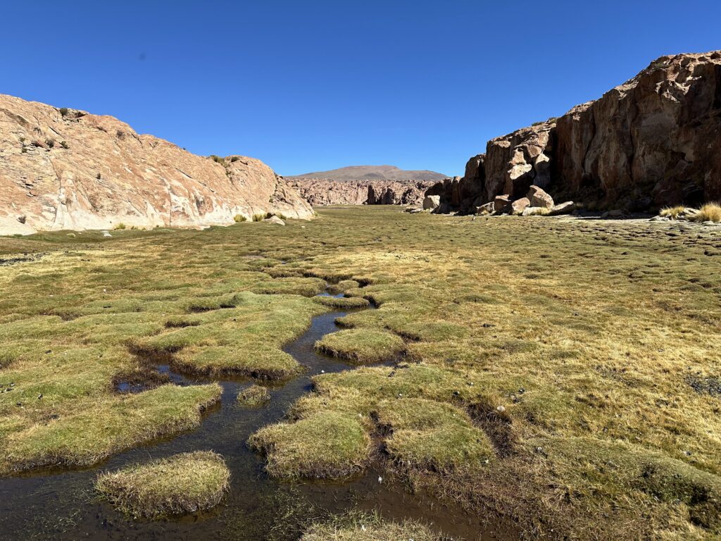 Laguna Catal Bolivie
